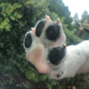 Meet your Posher, Anneliese